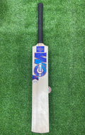 Kashmir Willow GM bat