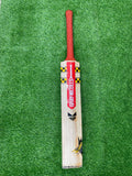 English Willow Gray Nicolls Bat