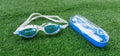 Professional Swimming Goggles