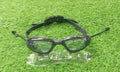 Swimming Goggles with Protective Case